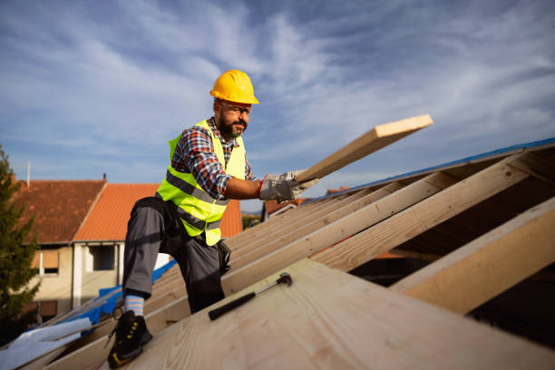 Best Roof Coating and Sealing  in Mckenzie, TN